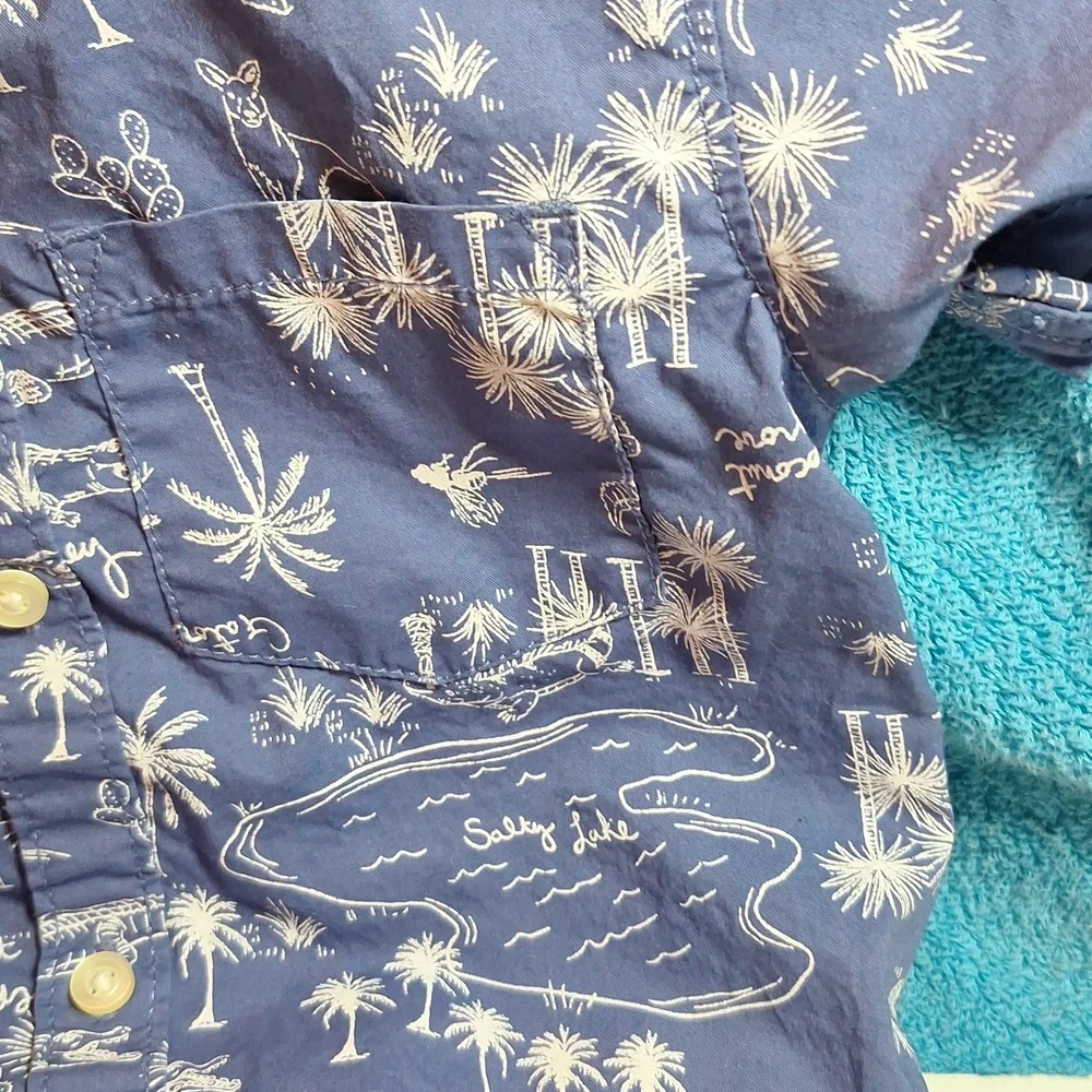 2T Carters Boy Outfit, Beach, Tropical, Summer, Short Sleeve and Shorts - Picture 3 of 5